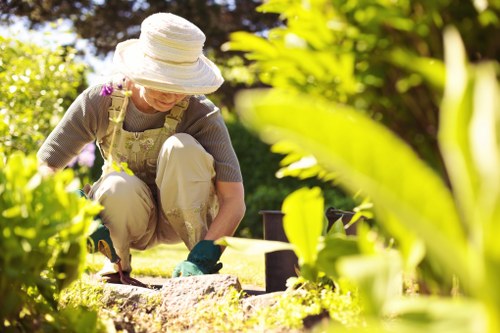 Man and van removing green waste from a suburban Hanwell property