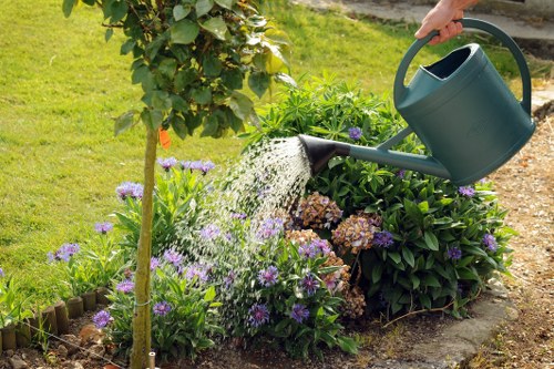 In a well-maintained outdoor garden space, a person is watering a bed of flowering plants with purple and pink blooms using a green watering can. The flower bed is edged with small wooden border stakes and contains a mix of lush green foliage, including a prominent shrub and small leafy plants. Behind the flower bed, there is a hedge or shrubbery providing a natural boundary, along with a small tree or young plant supported by a stake. The lawn surrounding the flower bed is neatly mown, showing evenly cut, dense grass that extends into a background of more greenery, indicative of regular garden maintenance by Lawn Mowing Hanwell. The scene suggests a bright, slightly overcast day, with natural light highlighting the vibrant colours of the flowers and foliage, creating a tidy, inviting outdoor environment typical of domestic garden landscapes in Hanwell, tailored to garden and lawn care services.