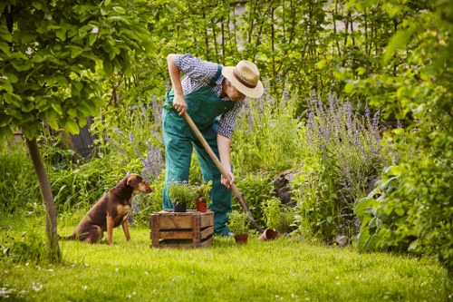 Professional lawn mowing service in Hanwell