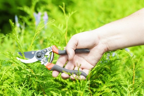 Eco-friendly lawn care equipment in Hanwell