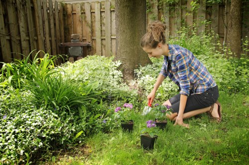 Lush green lawn after professional mowing in Hanwell